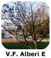 VF Alberi E